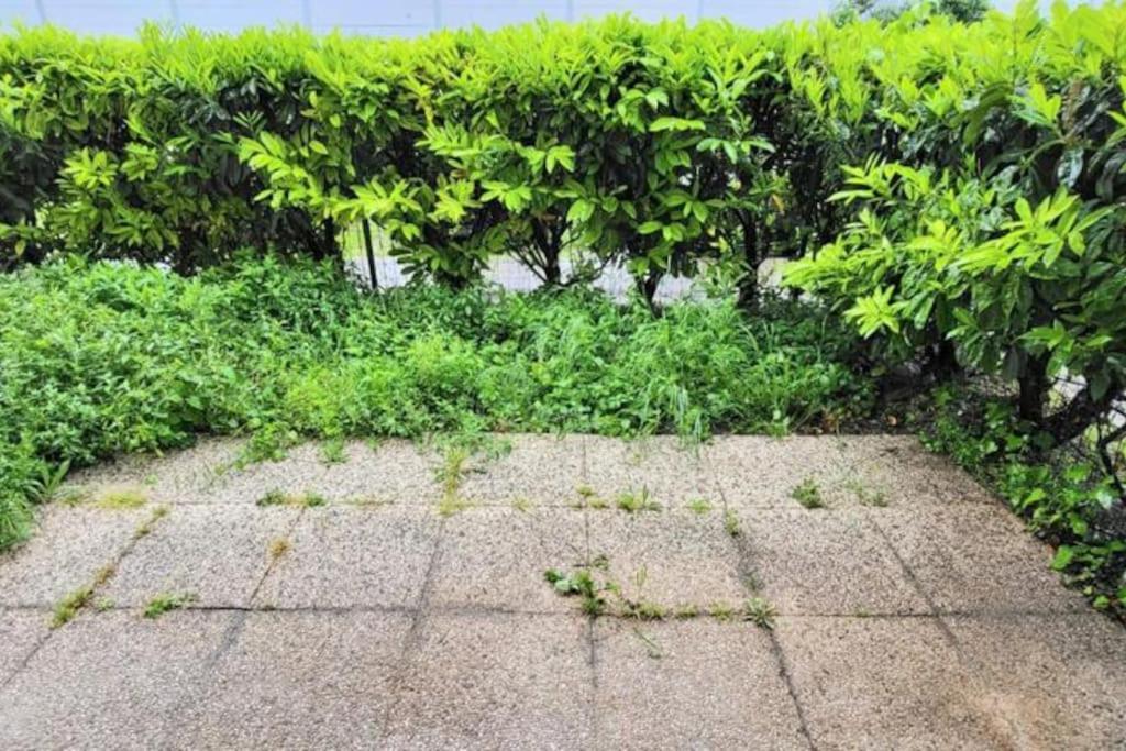Appartement Cosy Proche Paris Le Bourget Exterior foto